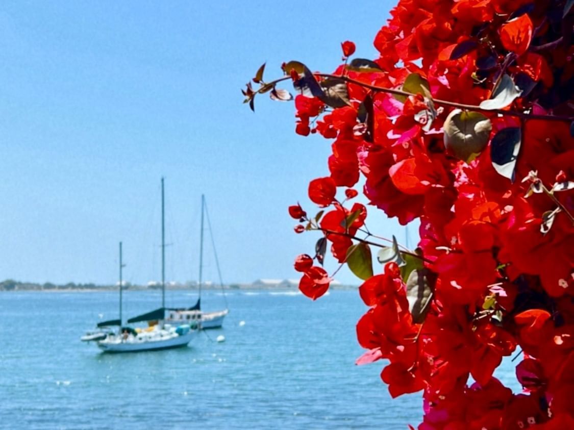 The Bay Club Hotel & Marina