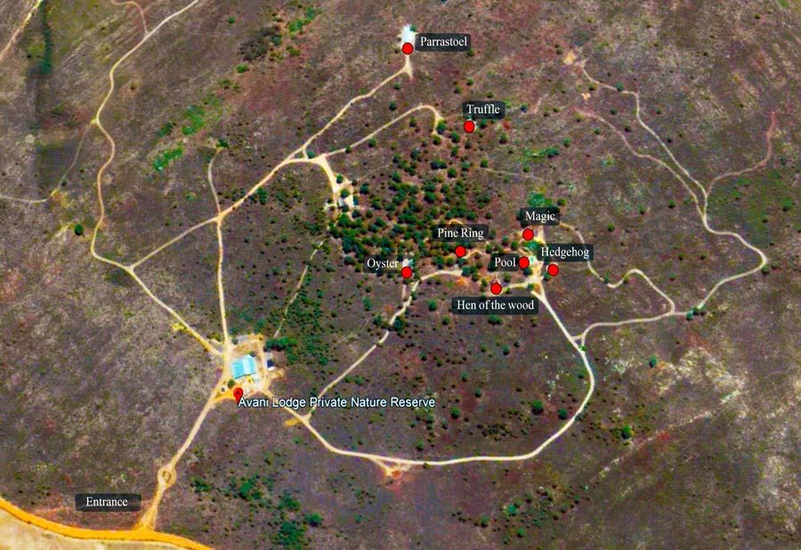 Avani Lodge Private Nature Reserve