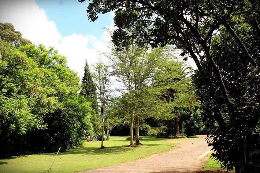 Airport Lodge Guest House