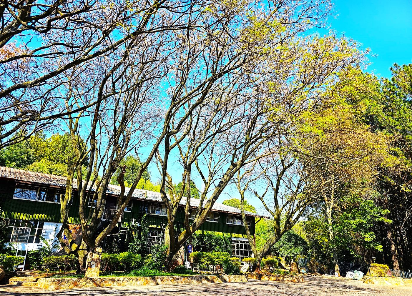 Rainforest Boutique Camp