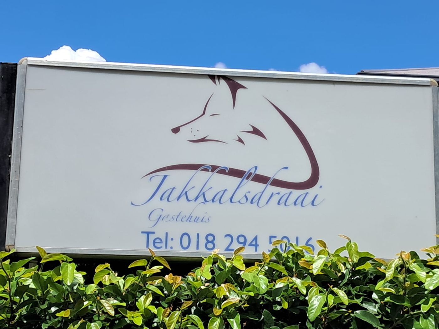 Jakkalsdraai Guesthouse