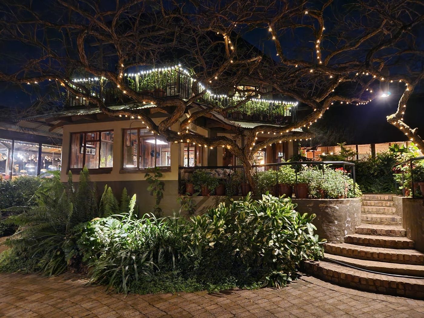 Ascot Bush Lodge