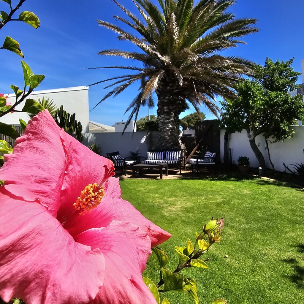 Swept Away Guesthouse