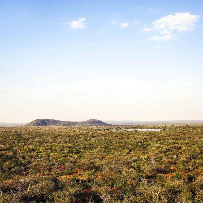Madikwe Hills