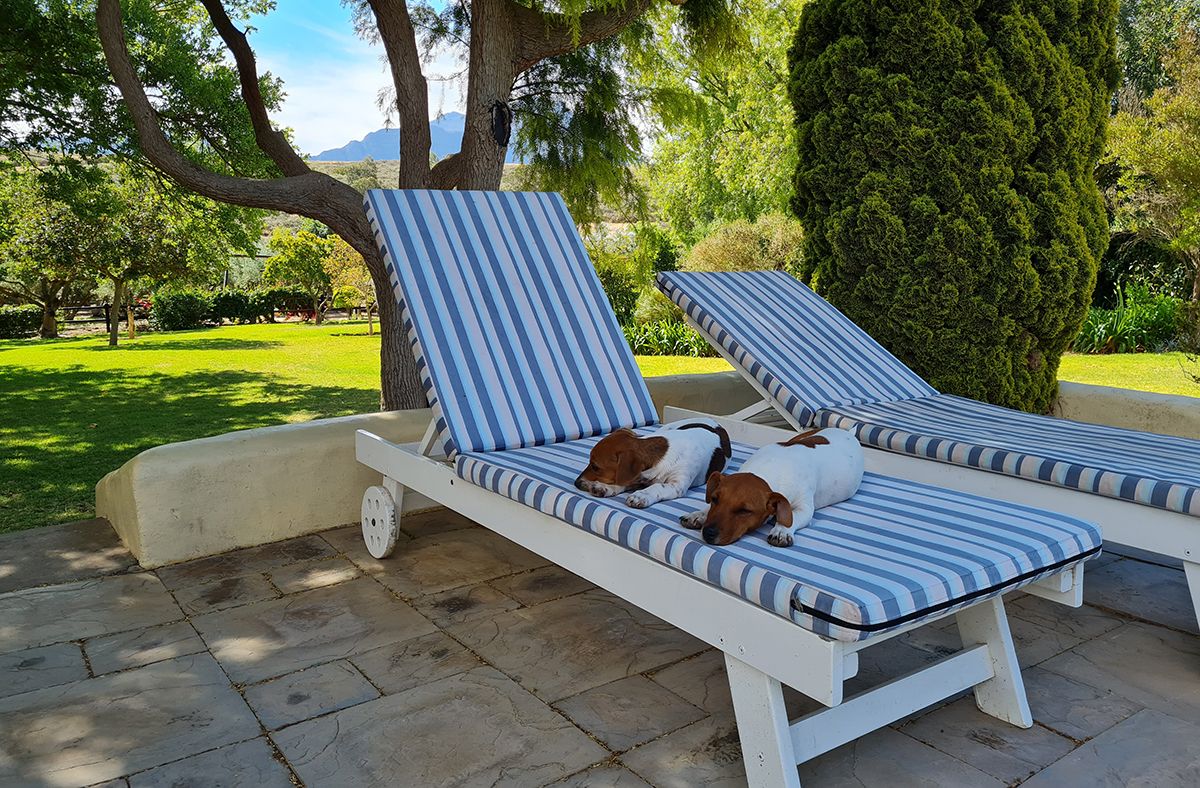 Villa Tarentaal - Tulbagh