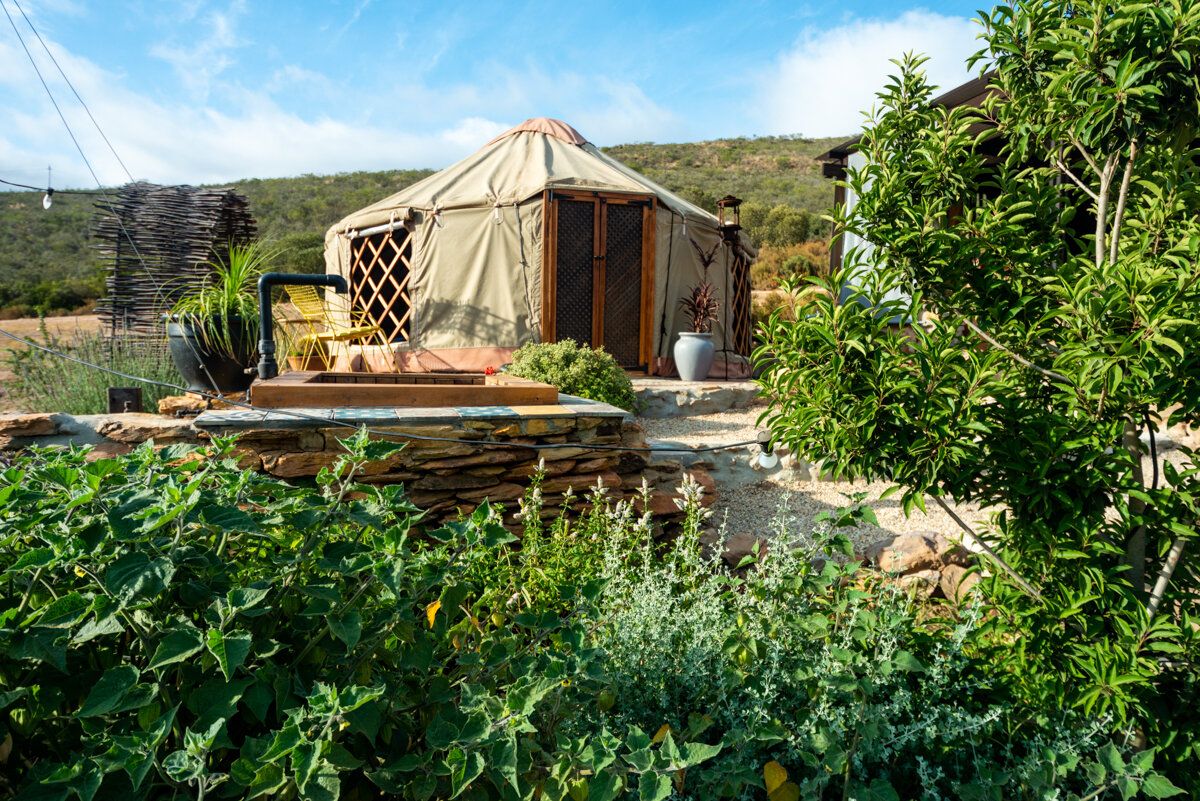 Southern Yurts