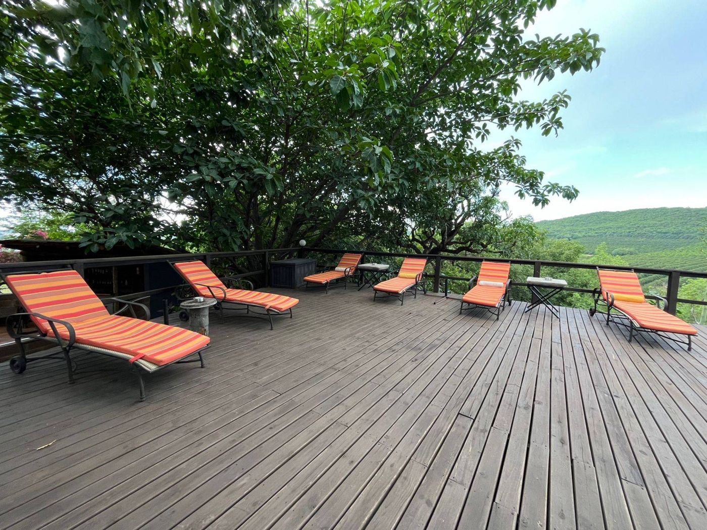 Abangane Guest Lodge