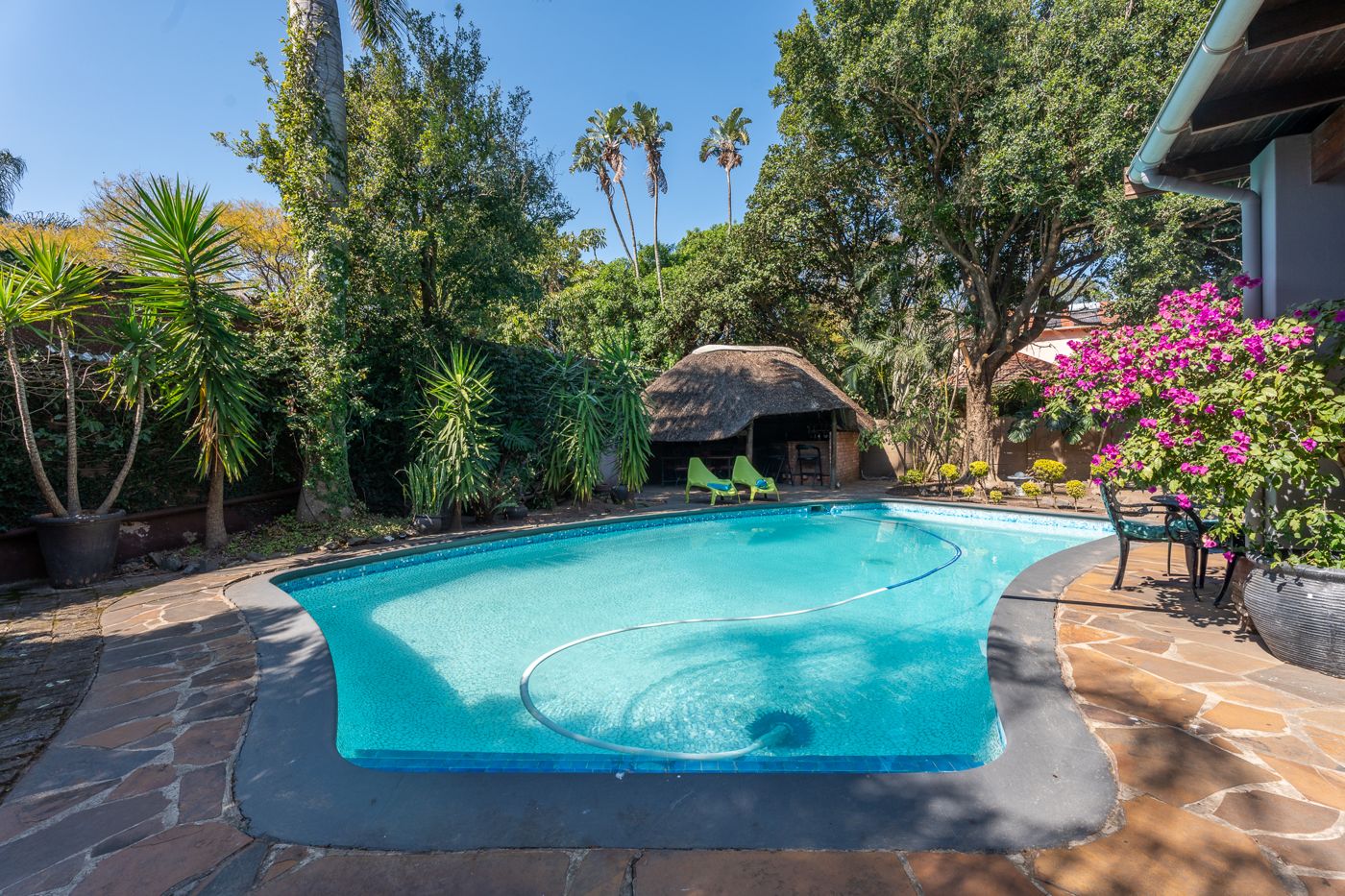Palm Tree Manor