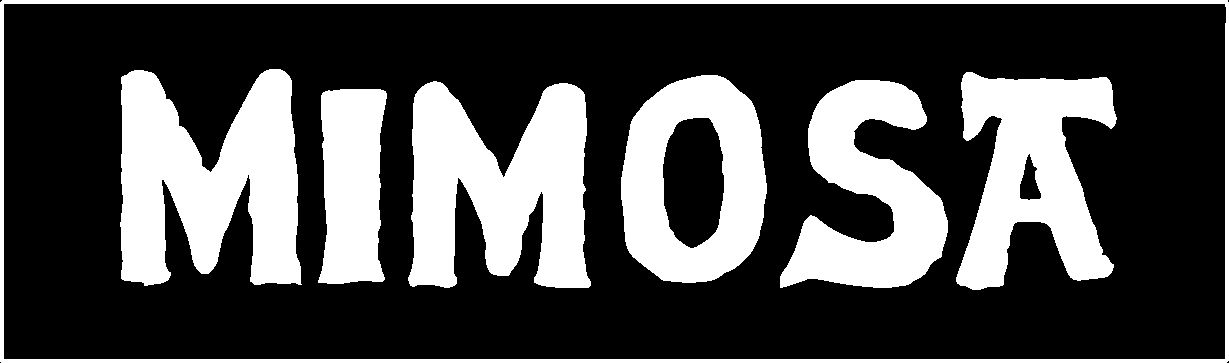 Mimosa - Grahamstown