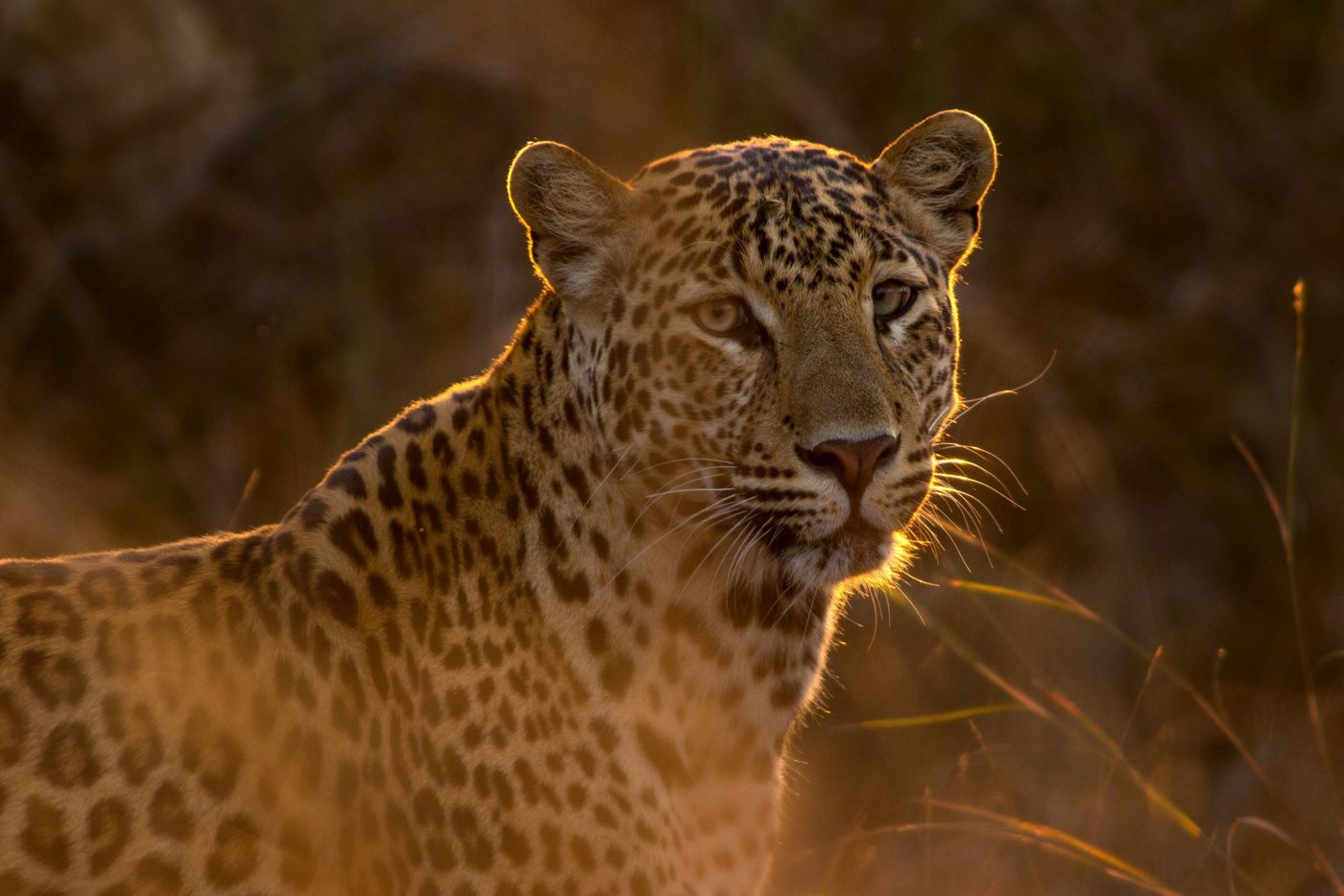 Moditlo River Lodge
