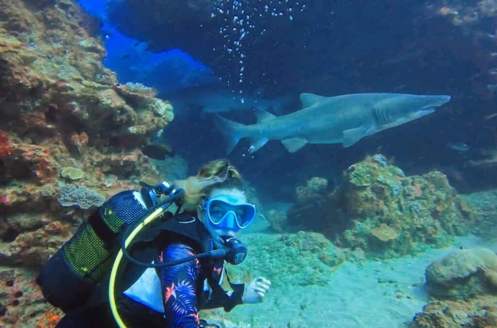 Coral Divers