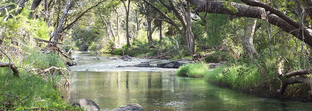 Blyde River Cabin Guesthouse